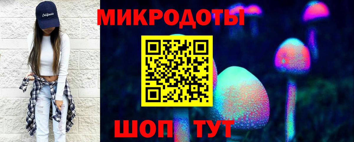 Галлюциногенные грибы Cubensis  Вход с VPN  Псилоцибиновые грибы Cubensis  Осинники 